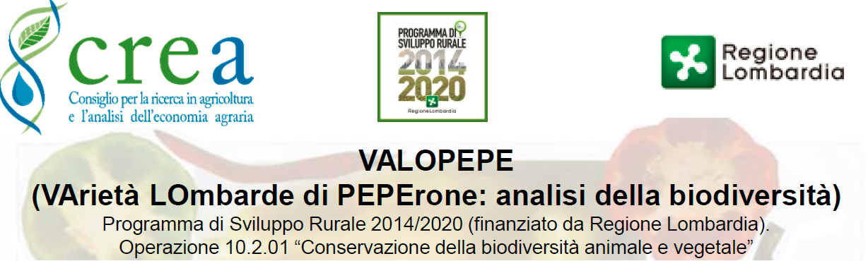 Valopepe_Crea