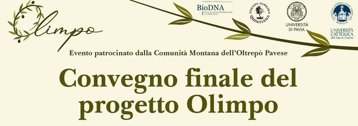 11_OlimpoFinale.jpg