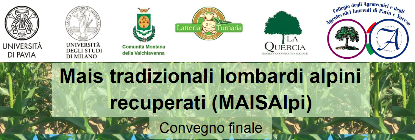11_OlimpoFinale.jpg